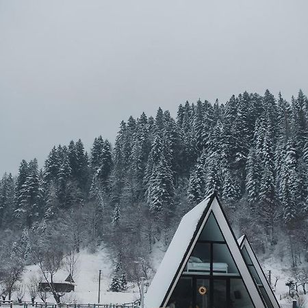 Villa Mountains Hut Mykulytschyn Exterior foto